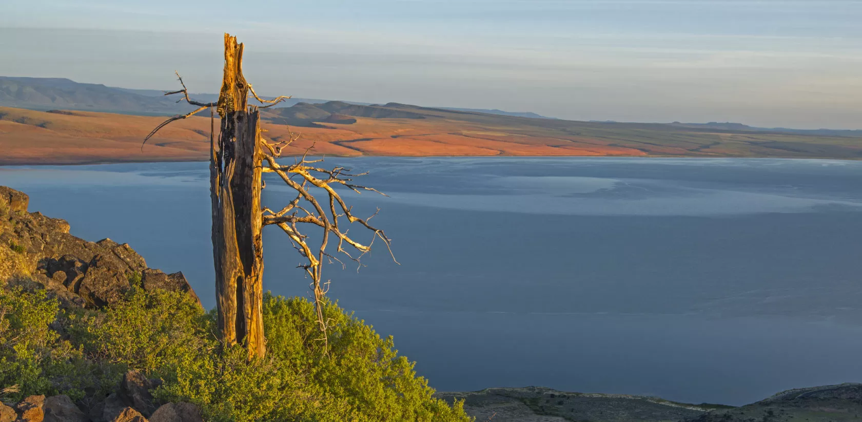 A view of Lake Abert at sunset with a tree trunk in the center of the frame